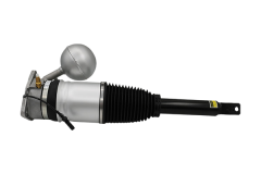 Ammortizzatore Posteriore Destro 3D0616002H 56160000401 VW Phaeton Vika