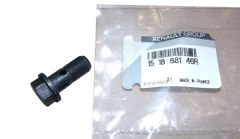 Bullone Originale 151888146R Renault Dacia