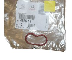 Guarnizione, sigillo Pompy Vacum Nuovo Originale 4556.17 455617 Citroen Peugeot