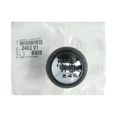 Leva cambio Originale Citroen Peugeot C4 307 407 2403V1