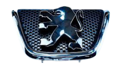 Emblema Anteriore Originale Peugeot 206 7810c5