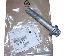 Bullone Originale 503624 5036.24 Citroen Peugeot