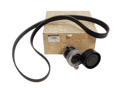 Tendicinghia Trasmissione Dacia 117203804R Originale