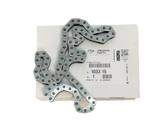 Catena della pompa dell'olio Citroen Peugeot 103315 1033.15 Originale