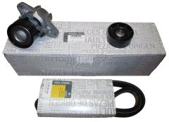 ren7701477527
