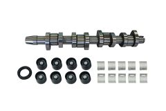 Albero a Camme Kit 038109101AH B11307 VW Audi Seat Skoda Borsehung