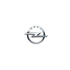 Ingranaggio Originale 55573788 Opel