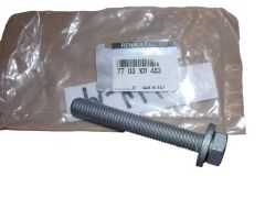 Bullone Nuovo Originale 12x175 7703101463 Renault