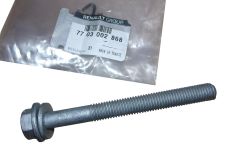 Bullone Originale 7703002868 Renault