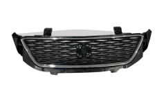 Griglia Radiatore Fare Seat Toledo 6JA853668A 88531851402 DPA