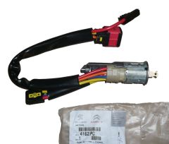 Blocchetto Accensione Nuovo Originale 4162.P0 4162P0 Citroen Peugeot