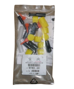 Kit riparazione Originale Citroen Peugeot 9780Z8