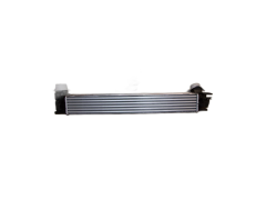 Intercooler REN 144960600R