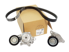 Tendicinghia Trasmissione Citroen Peugeot 6PK1004 1631481680 Nuovo Originale
