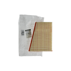 Filtro Aria Originale Renault Kangoo II 1.5 DCI 165469029R