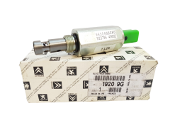 Valvola Distribuzione Originale Citroen Peugeot C5 C8 2.2 19209G
