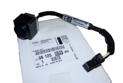Telecamera Nuovo Originale 9812503980 Peugeot