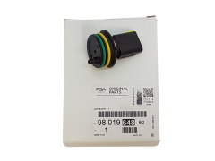Sensore Temperatura Carburante Citroen Peugeot 9801964880 Originale