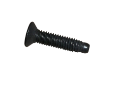 Bullone Nuovo Originale 7703004181 Renault Dacia