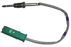 Sensore Temperatura Gas Scarico Citroen Peugeot 1920TW QPlus