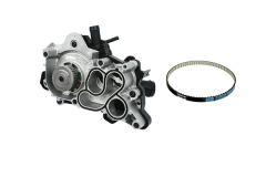 Pompa Acqua Fare VW Audi Seat Skoda 04E121600P 04E121605E B11208 Borsehung