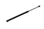 Ammortizzatore cofano bagagliaio 3T5827550 B19169 Skoda Superb 2 Borsehung