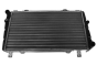 Radiatore Motore 115610502 16100279001 Skoda Felicia Vika