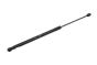 Ammortizzatore cofano bagagliaio 1Z5827550 B14199 Skoda Octavia 2 Borsehung