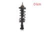 Ammortizzatore Anteriore 543023828R 540100864R 93463333 Renault Trafic 3 2.0 DCI