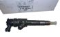 Iniettore carburante Originale 1610578480 Citroen Peugeot