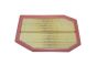 Filtro Aria Fare BMW 13717590597 B12437 Borsehung