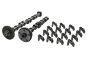 Albero a Camme Set Fare VW Audi Seat 06H109021K 06H109022BC B19173 Borsehung
