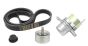 Tendicinghia Trasmissione Originale Ren Master Laguna Espace 2.0-2.3 dCi 8200941086