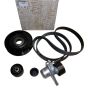 Kit cinghia distribuzione Nuovo Originale 117200022R Renault