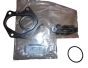 Guarnizione, sigillo Nuovo Originale 144D19994R Renault