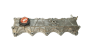 Coperchio Punterie 7700598249 Renault 2.1 D