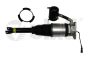 Ammortizzatore Posteriore Sinistro 46160000301 4E0616001N Audi A8 Vika