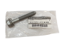 Bullone Renault Nissan 0112101Q4G 7703602221 Originale