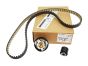 Kit cinghia distribuzione Citroen Peugeot 1654516080 Originale