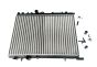 Radiatore Originale Citroen C4 133351