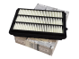 Filtro Aria Renault 165467FV0A Originale