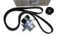 Tendicinghia Trasmissione Originale 7701479150 Renault Dacia