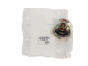 Termostato Citroen Peugeot 2.0 HDI 133823 Nuovo Originale