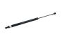 Ammortizzatore cofano bagagliaio 7P6827550 B18458 VW Touareg Borsehung