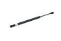 Ammortizzatore cofano bagagliaio 4G5827919 B18443 Audi A6 Borsehung