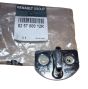 Riscontro Porta Originale 825700012R Renault
