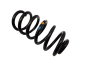 Molla Elicoidale Posteriore Clio 4 550202966R Grandtour Renault
