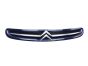 Griglia Radiatore 7804J7 9632099177 Citroen Xsara Picasso 99-03 1013