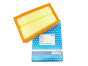 Filtro Aria Renault Nissan 165466131R A1317 Purflux