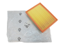 Filtro Aria Citroen Peugeot 1.5 HDI 9813908880 Originale